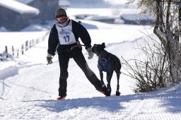 Lenk 2013